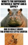 whats-the-difference-between-hippo-and-zippo-one-is-really-heavy-the-other-is-a-little-lighter.jpg