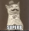 superb.jpg