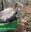 Logans buck 3.jpg