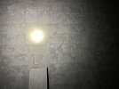 4D347822-26A2-4B2F-90E7-CFD6E4E589B9.jpeg