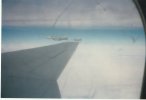 F-4 Wing.jpg