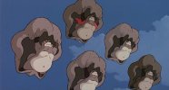 B0009MAO3W-058.jpg