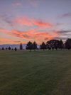 PXL_20220822_023843926.jpg