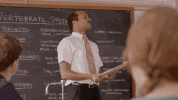 1661211302909.gif