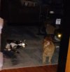 20230129_200720.jpg 20230129_200720.jpg