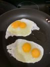 8301F771-4162-4E37-A80C-187616BC64AD.jpeg