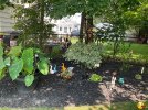 IMG_2023-08-06-121721.jpeg
