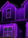 IMG_0196.jpeg