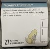 IMG_4352.jpeg