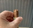 IMG_2713.jpeg