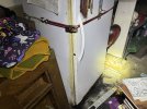 IMG_1137.jpeg IMG_1137.jpeg