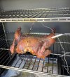 IMG_8367.jpeg