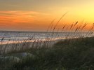 IMG_4516.jpeg