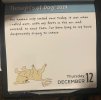 IMG_5290.jpeg