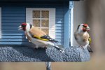 DSC_5099.jpg