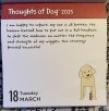IMG_5527.jpeg
