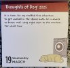 IMG_5528.jpeg
