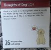 IMG_5544.jpeg