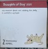 IMG_5566.jpeg