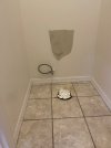 IMG_8583.jpeg