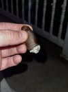 IMG_6551.jpeg