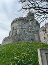 IMG_5891.jpeg