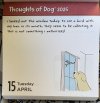 IMG_5595.jpeg