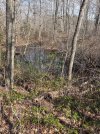 IMG_0317.jpeg