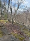 IMG_0311.jpeg
