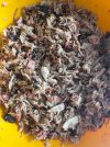 IMG_4234.jpeg