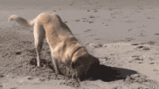 1000001776.gif
