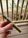 IMG_6009.jpeg