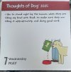 IMG_5664.jpeg