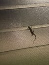 IMG_5589.jpeg