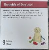 IMG_5666.jpeg