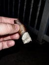 IMG_6878.jpeg