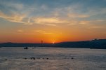 DSC_7444.jpg
