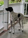 IMG_4361.jpeg