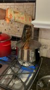IMG_6092.jpeg