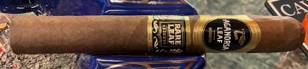 IMG_1530.jpeg