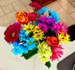 IMG_0278.jpeg