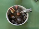 IMG_0337.jpeg