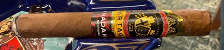 IMG_1547.jpeg