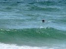 IMG_0537.jpeg