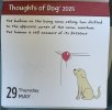IMG_5741.jpeg