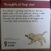 IMG_5766.jpeg