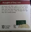 IMG_5767.jpeg