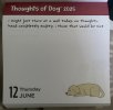 IMG_5769.jpeg