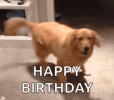 IMG_4608.gif