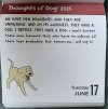 IMG_5833.jpeg